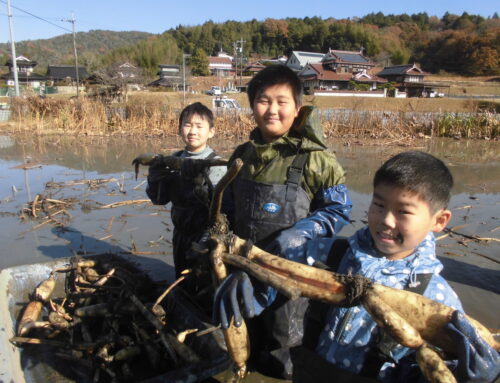 三原市のふるさと納税の使い道を紹介します！